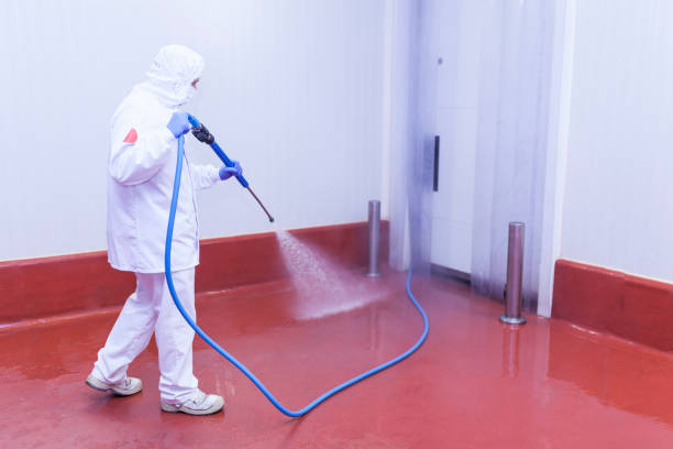 Best Pre-Holiday Cleaning  in Glasco, NY